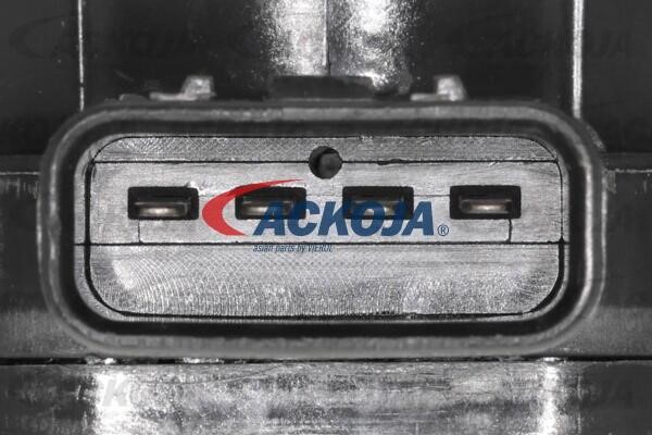 Buy Ackoja A70-16-0011 at a low price in United Arab Emirates!