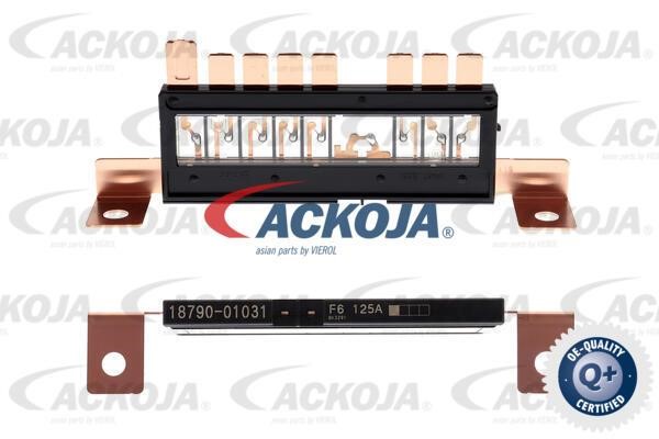A99980002 Ackoja Fuse