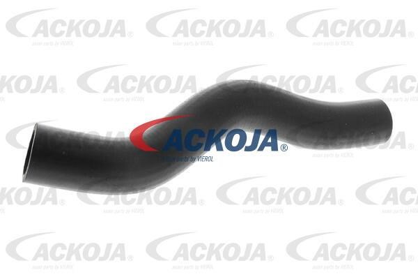 Ackoja A26-1601 Radiator hose A261601