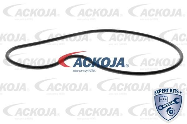 Buy Ackoja A26-0700 at a low price in United Arab Emirates!