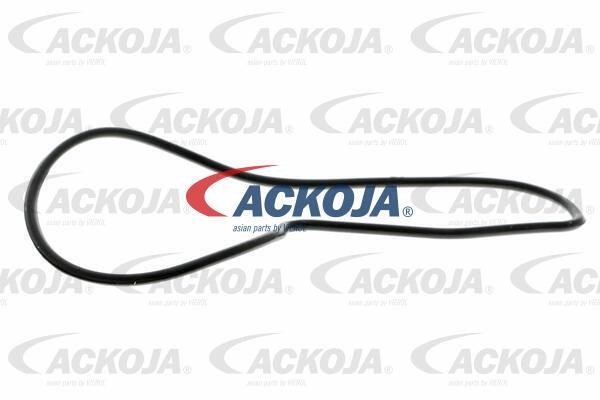 Buy Ackoja A26-50009 at a low price in United Arab Emirates!