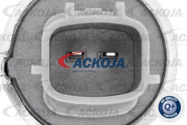 Buy Ackoja A38-0347 at a low price in United Arab Emirates!