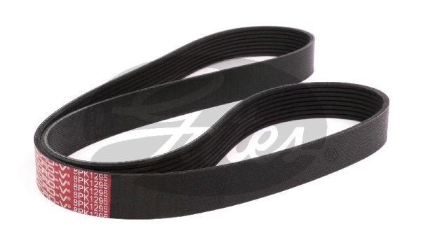 Poly-V belt 8PK1295 Gates 8PK1295XS