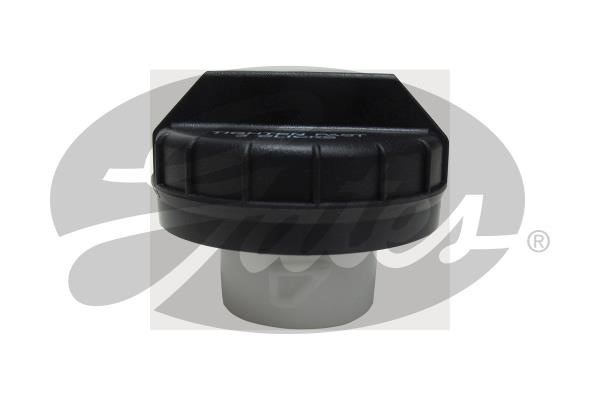 31843 Gates Fuel Door Assembly