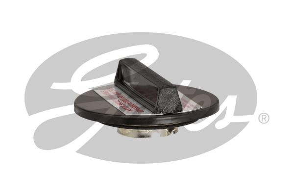 31629 Gates Fuel Door Assembly