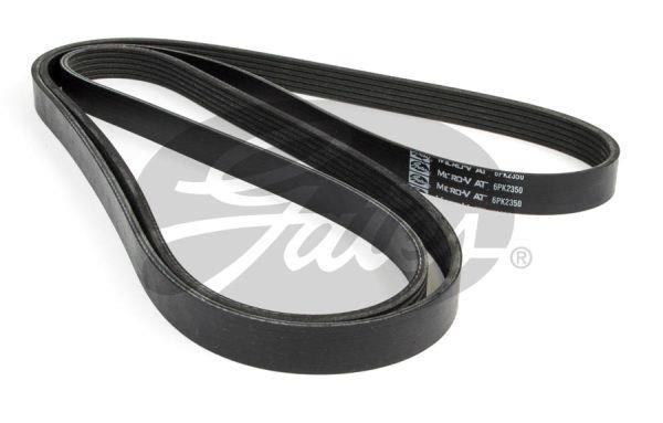 Aux belt Ford Ranger: 6PK2350 Gates Poly-V belt