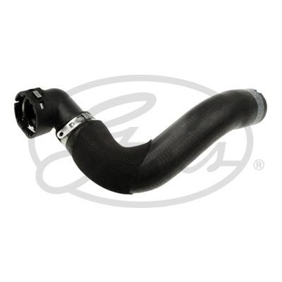 Gates Pipe branch – price 54 PLN