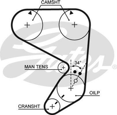 Gates T068 Timing belt T068