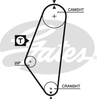 Gates T081 Timing belt T081