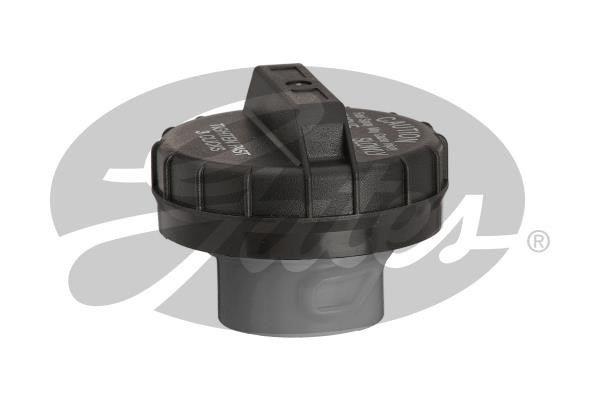 31841 Gates Fuel Door Assembly
