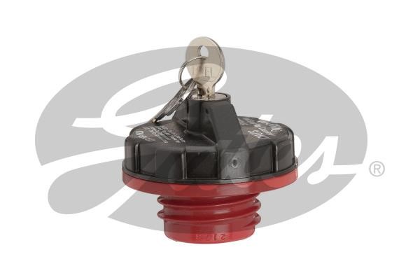 31703 Gates Fuel Door Assembly