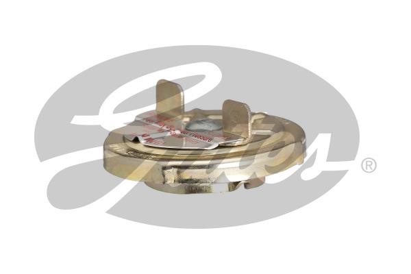 31640 Gates Fuel Door Assembly