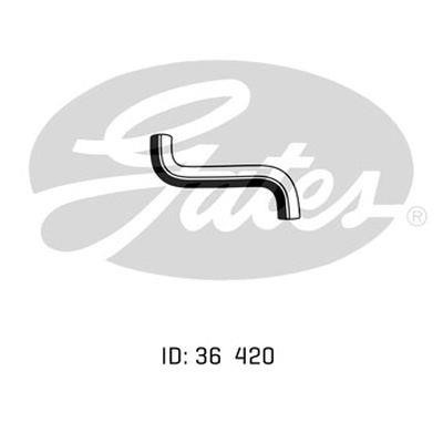 Gates 05-1941 Radiator hose 051941