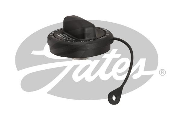 31849 Gates Fuel Door Assembly