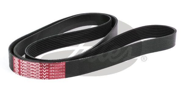 8PK2020HD Gates Poly-V belt