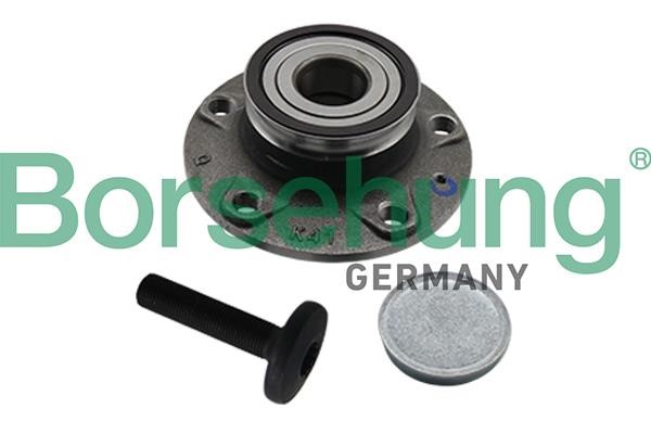 Borsehung B19310 Wheel bearing kit B19310