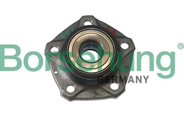 Borsehung B11286 Wheel bearing kit B11286