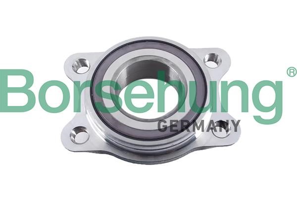 Borsehung B19058 Wheel hub bearing B19058