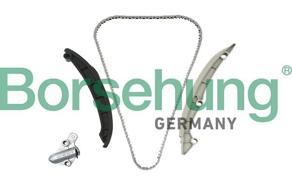 Borsehung B19257 Timing chain kit B19257
