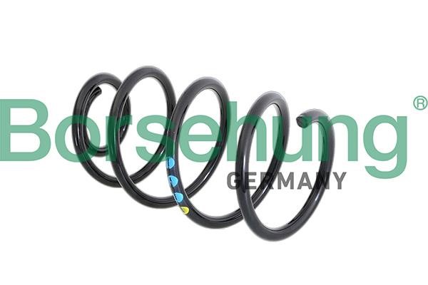 B11087 Borsehung Coil spring