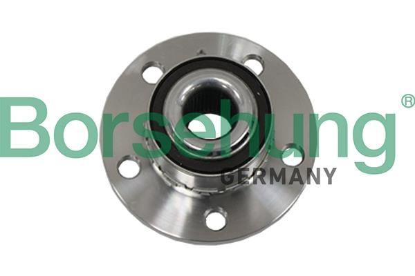 Borsehung B19117 Wheel hub bearing B19117