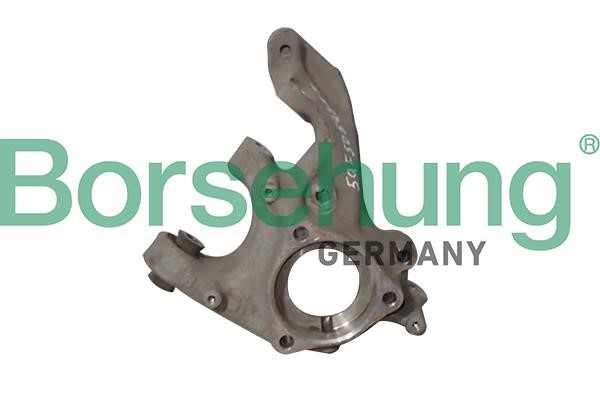 B12114 Borsehung Knuckle swivel