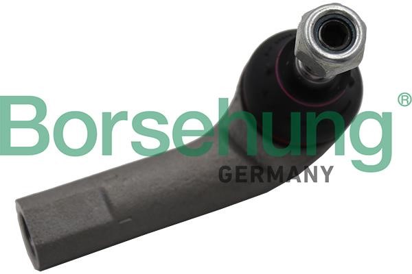 B18703 Borsehung Hinge