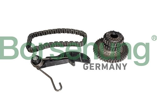 Borsehung B10218 Timing chain kit B10218