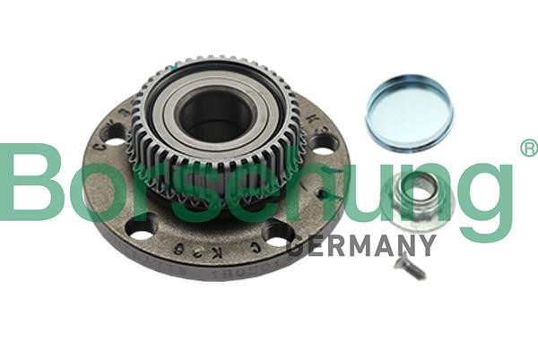 Borsehung B19231 Wheel bearing kit B19231