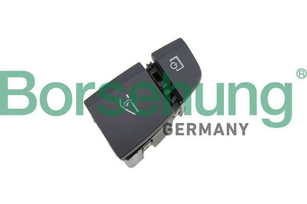 Borsehung B18569 Multi-Function Switch B18569
