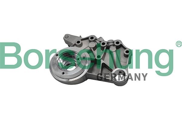 Borsehung B19307 Repair Set, camshaft bearing bracket B19307