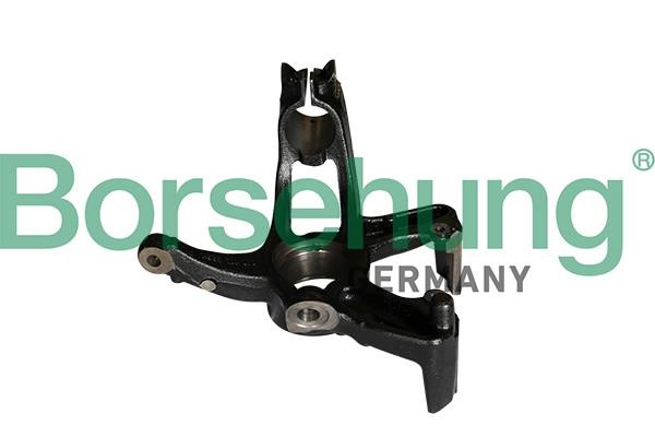 B12113 Borsehung Knuckle swivel