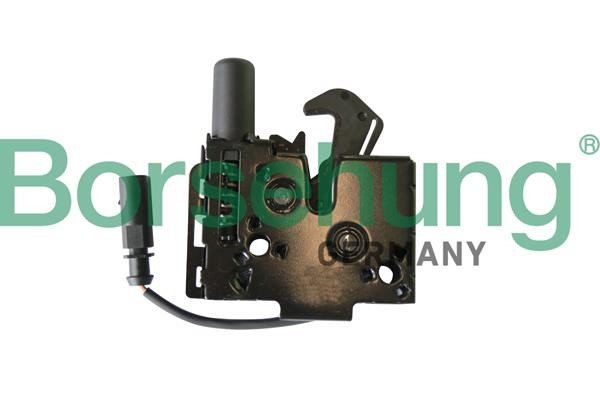 B10272 Borsehung Hood lock