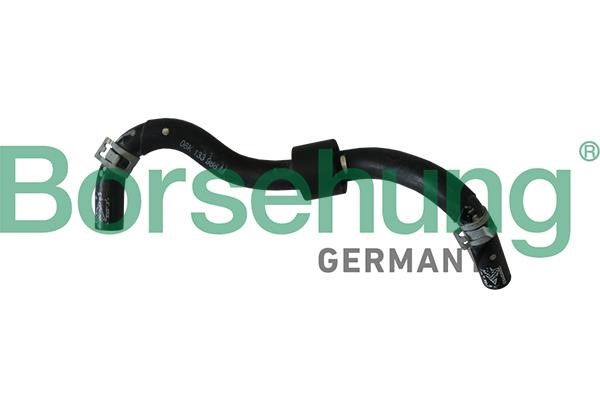 Fuel hose Audi: B11983 Borsehung Hose, fuel system pressure tester