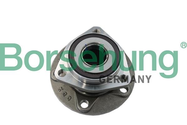 Borsehung B19118 Wheel hub bearing B19118