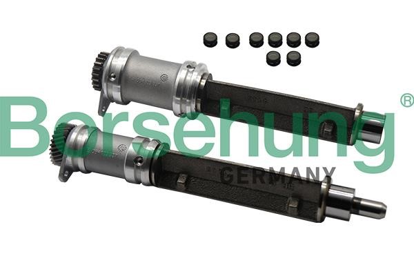 Borsehung B19132 Balancing shaft B19132 B19132 Borsehung Balancing shaft