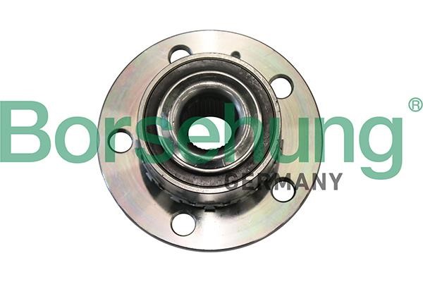 Borsehung B19285 Wheel bearing kit B19285