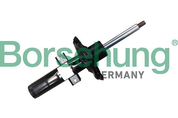 Borsehung B11176 Front oil and gas suspension shock absorber B11176