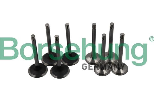 B18640 Borsehung Valve