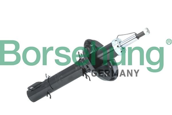 Borsehung B18687 Front oil and gas suspension shock absorber B18687