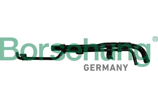 B19215 Borsehung Coolant hose