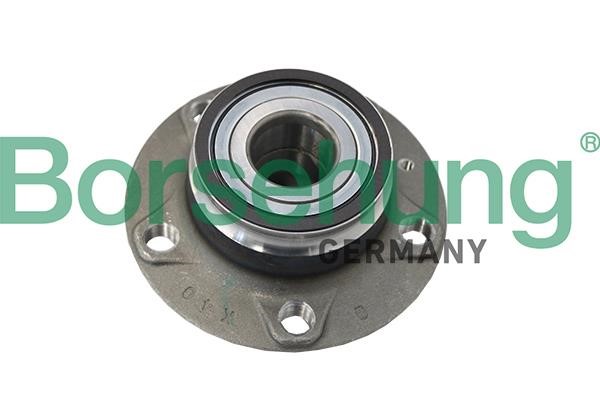 Borsehung B19119 Wheel hub bearing B19119