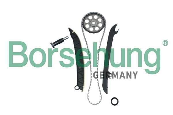 Timing chain kit Skoda Yeti: B18977 Borsehung Timing chain kit