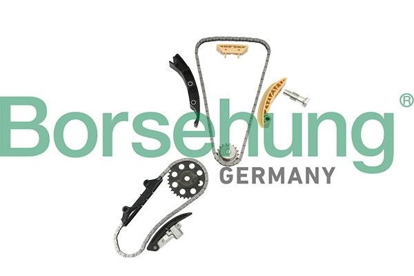 Timing chain kit Volkswagen Phaeton: B18846 Borsehung Timing chain kit
