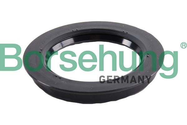 Borsehung B17835 Shaft Seal, wheel bearing B17835