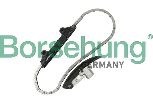 Borsehung B10209 Timing chain kit B10209