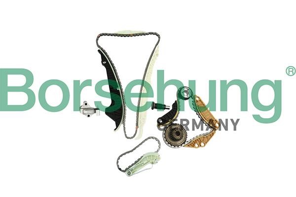 Borsehung B19254 Timing chain kit B19254