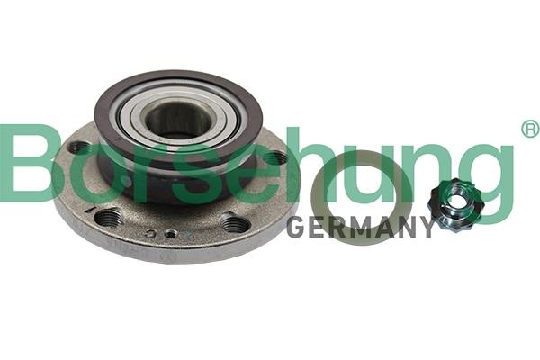 Borsehung B19237 Wheel bearing kit B19237