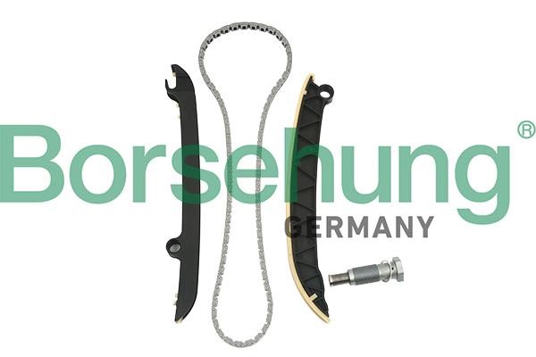 Borsehung B18843 Timing chain kit B18843