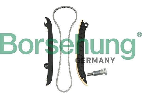 B18843 Borsehung Timing chain kit